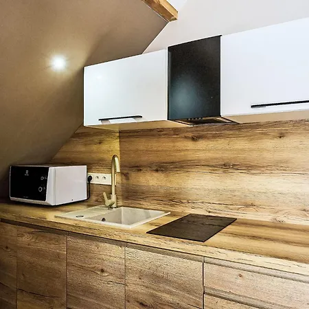 Studio Anenske Udoli-6 By Interhome Lägenhet Harrachov